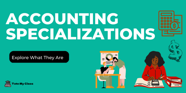 Types of Accounting: Explore the Major Branches