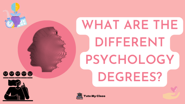What Are the Different Psychology Degree?
