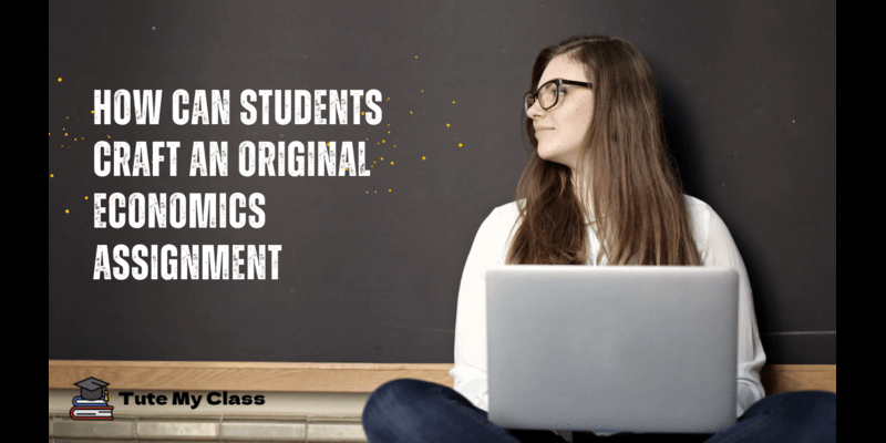 How Can Students Craft an Original Economics Assignment