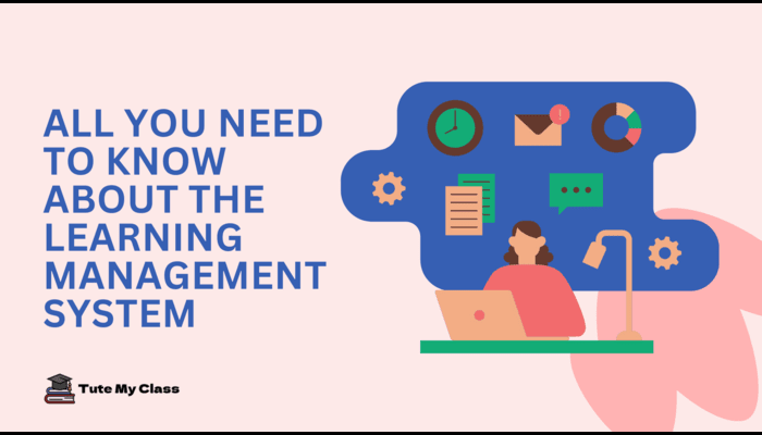 All You Need to Know About the Learning Management System