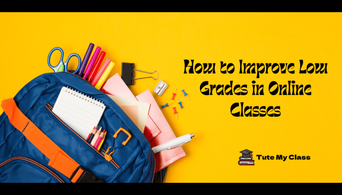 How to Improve Low Grades in Online Classes